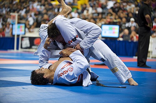 Brazilian Jiu-Jitsu