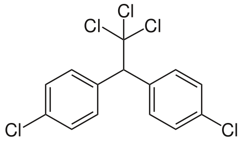 DDT